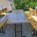 Cozy באסקה